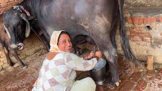 इतने महंगे कपडे एक बार में खराब | या मिणी थोड़ी साही है वीडियो बनाना इसे पसंद नहीं | UP Vlogger Babli