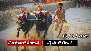 ಮಿಯಾರ್ ಲವ ಕುಶ ಜೋಡುಕರೆ ಕಂಬಳದ ಫೈನಲ್ ರೇಸ್ // Miyar lava kusha jodukare kambalada final race