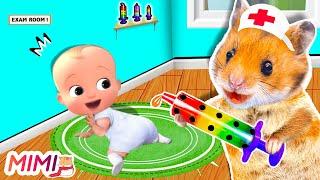 Wow! Hamster MiMi Pretend A Doctor Check Up Bro at Home | HAMSTER MIMI