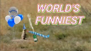 World's Funniest Prairie Dog Hunting Video