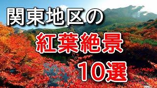 【4K 関東の紅葉ベスト10選】絶景名所ランキングを紹介します