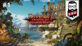 Divinity Original Sin: Enhanced Edition - Coming Ashore - Part 1