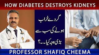 How Diabetes Destroys Kidneys ? | NephChat With Dr Shafiq Cheema