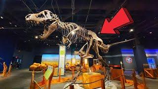 Orlando Science Center Florida Full Tour