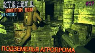 ПОДЗЕМЕЛЬЯ АГРОПРОМА | S.T.A.L.K.E.R. ЗОЛОТОЙ ШАР ЗАВЕРШЕНИЕ | Серия 37