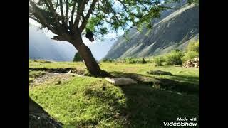 Beautiful areas of || Upper Chitral ||.