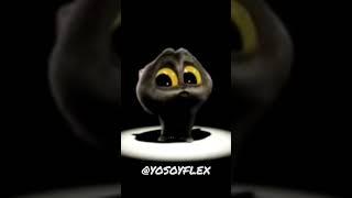 scatman gatito cantando  @YosoyFlex #gato#animales