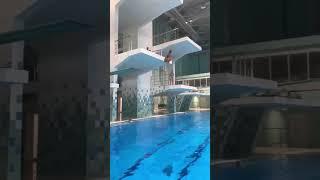 Стойка на руках, 5 метров #прыжкивводу #diving