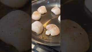 4 tips for pan seared scallops #scallops #seafood #cooking