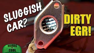 Toyota Prius EGR Removal PLUS Organic Methods for All Cars - Ford, BMW, Chevy, Honda