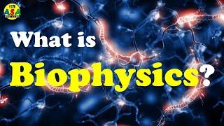 What is Biophysics?