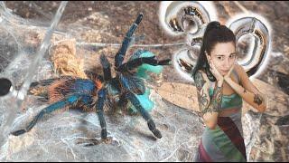 Let's feed 30 TARANTULAS blue Gummy Worms!.. ft Mr. tarantula kat