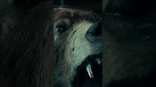 Wojtek: The Bear Who Fought Fascism Part 4 #WojtekTheBear #BearSoldier #PolishArmy #WWII