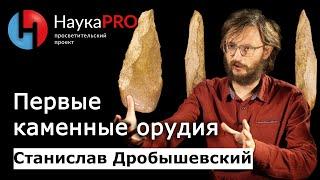 Первые орудия труда первобытных людей | Лекции по антропологии – Станислав Дробышевский | Научпоп