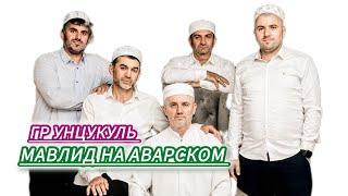 Группа унцукуль мавлид на аварском