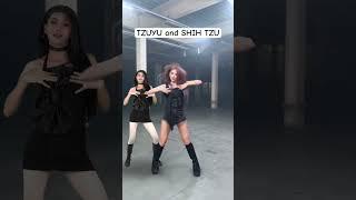 TZUYU and SHIH TZU #TWICE #TZUYU #abouTZU #RunAway #fyp #kpop #shorts