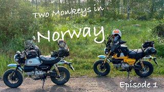 Two Monkeys in the Norwegian mountains! Ep 1