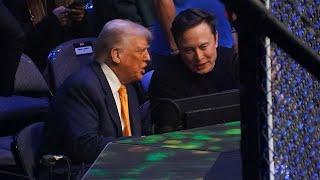 From bros to foes: a timeline of Trump and Musk's relationship | REUTERS