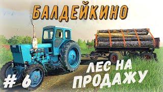 FS 19  - Везу лес на продажу. Опрыскиваю поле гербицидами - Фермер в БАЛДЕЙКИНО # 6