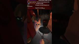 Hey not the cat! | #roflgator on #Twitch