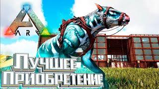 Восхитительный ХАЛИКОТЕРИЙ - ARK Survival DOX #10