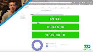 How To Use Siteliner To Find Duplicate Content