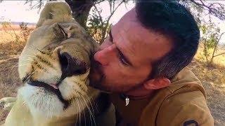 How Lions Say Hello | The Lion Whisperer