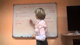 Здоровый иммунитет  Марина Мальцева  Степанова