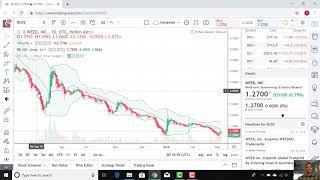 Marijuana Stock Investment Opportunity: WEED Inc (BUDZ) - Technical Analysis