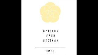 TONY G - PIGEON FROM VIETNAM