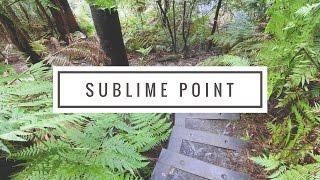 Sublime Point Ascent, Austinmer NSW Australia | Bushwalk the 'Gong