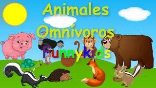 Animales Omnívoros