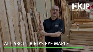 All about Bird's Eye Maple