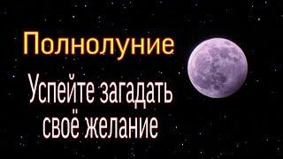 Полнолуние. Успейте загадать свое желание. | Тайна Жрицы |