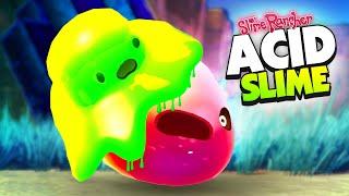 New ACID SLIME Will Melt You If You Touch it! - Slime Rancher Mods