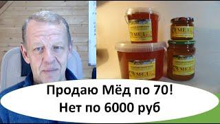 Цены на покупку, продажу мёда от оптовых до мёда из "диких" районов России. Бизнес-пасеки работают