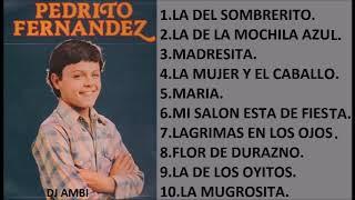 Pedro Fernández SUS MEJORES CANCIONES (MIX DE EXITOS ROMANTICOS