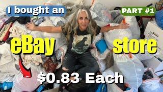 I Bought an ENTIRE eBay Store - 1,200 Items for $0.83 Each | 1 Buyout - Daily Chaos - Part #1