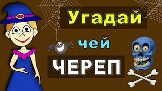 Угадай чей ЧЕРЕП !!! ТЕСТЫ для ДЕТЕЙ  от бабушки Шошо