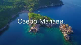 Озеро Малави Цихлиды