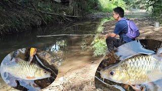 Memancing ikan di sungai Kecil, ternyata Sarangnya Ikan Wader Monster.