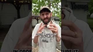 Is your garlic foreign? 