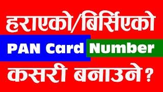 Harayeko PAN Card Kasari Banaune | PAN Card Harayo | How to Get Lost PAN Card without PAN Number