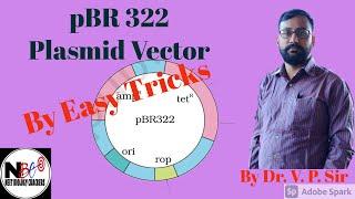 PBR322 plasmid Vector # Easy Trick#  Dr. V. P. Sir# Neetbiologycrackers