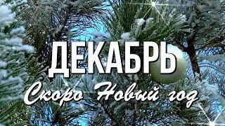 Здравствуй Зима! Пусть с тобой вместе придут добрые вести!