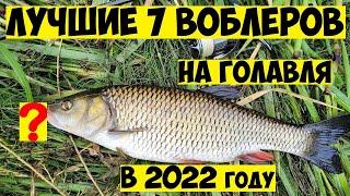 ТОП 7  Лучшие воблеры на ГОЛАВЛЯ в 2022 году! Ловля Голавля на Спиннинг! Рыбалка на голавля! Голавль