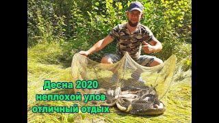 Рыбалка на реке Десна 2020 Хороший отдых на природе с ночевкой