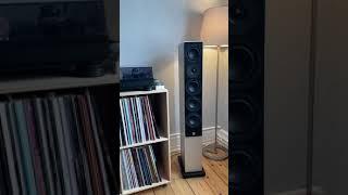 System Audio Mantra 50