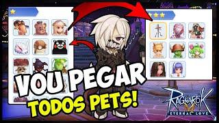 VOU TER TODOS PETS! -  Ragnarok Mobile Eternal Love (ROM)