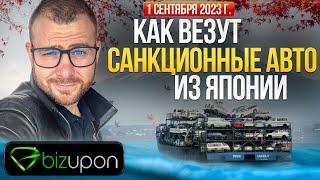 Как Купить Санкционный авто из Японии . 1 сентября 2023 года. Да не как , пока.......